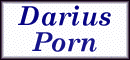 dariusporn.com